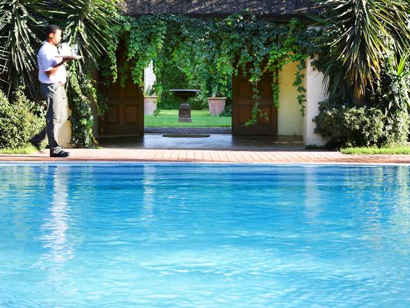 Elephant House - Pool